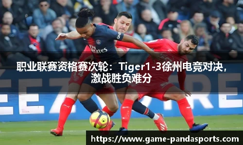 职业联赛资格赛次轮：Tiger1-3徐州电竞对决，激战胜负难分