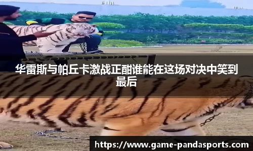 熊猫体育官方网站